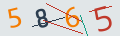 verifycode